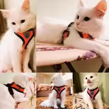 Adjustable Dog Harness Vest with Leash